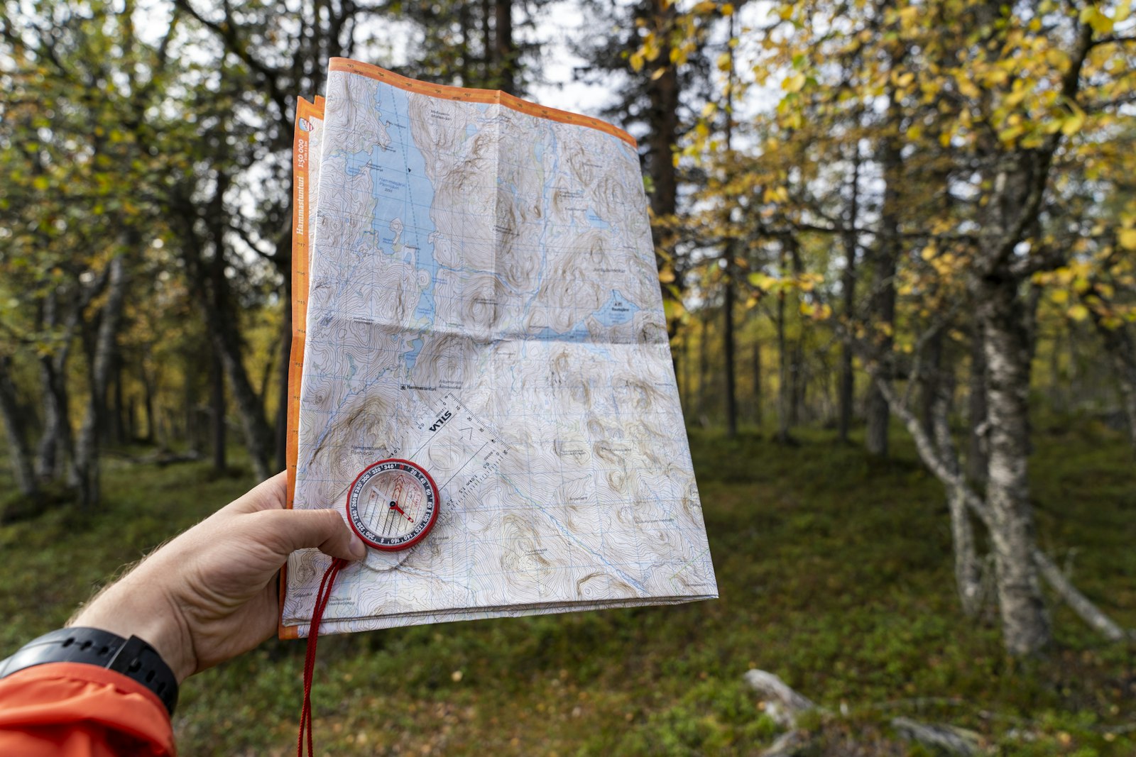 A hand holding a topographic map and compass in a forest